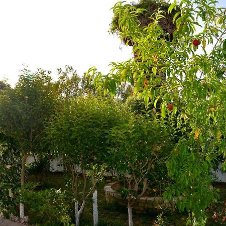 Kostas' Garden Apartman Róda Kültér fotó