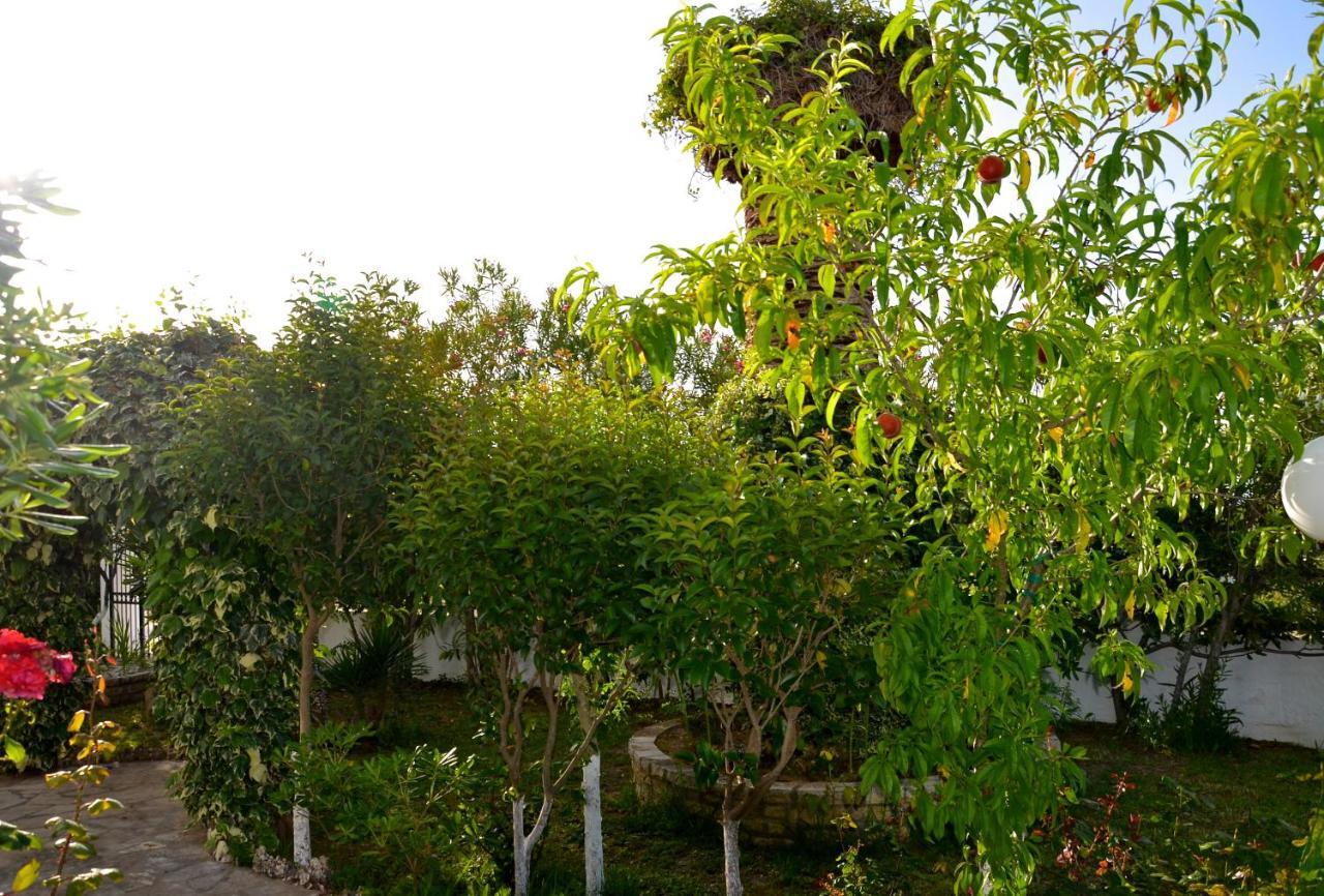 Kostas' Garden Apartman Róda Kültér fotó